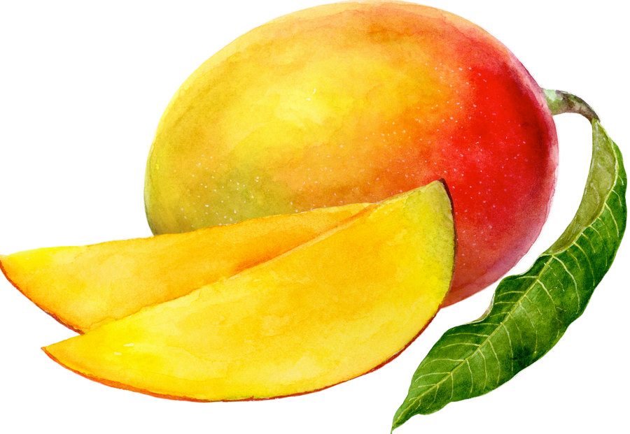 Mango fruit with two slices