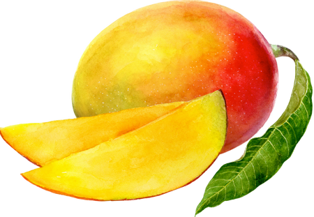 Mango fruit with two slices